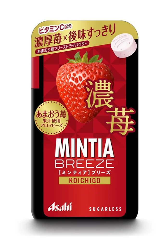 Mintia Japan Breath & Craving Control Tablets